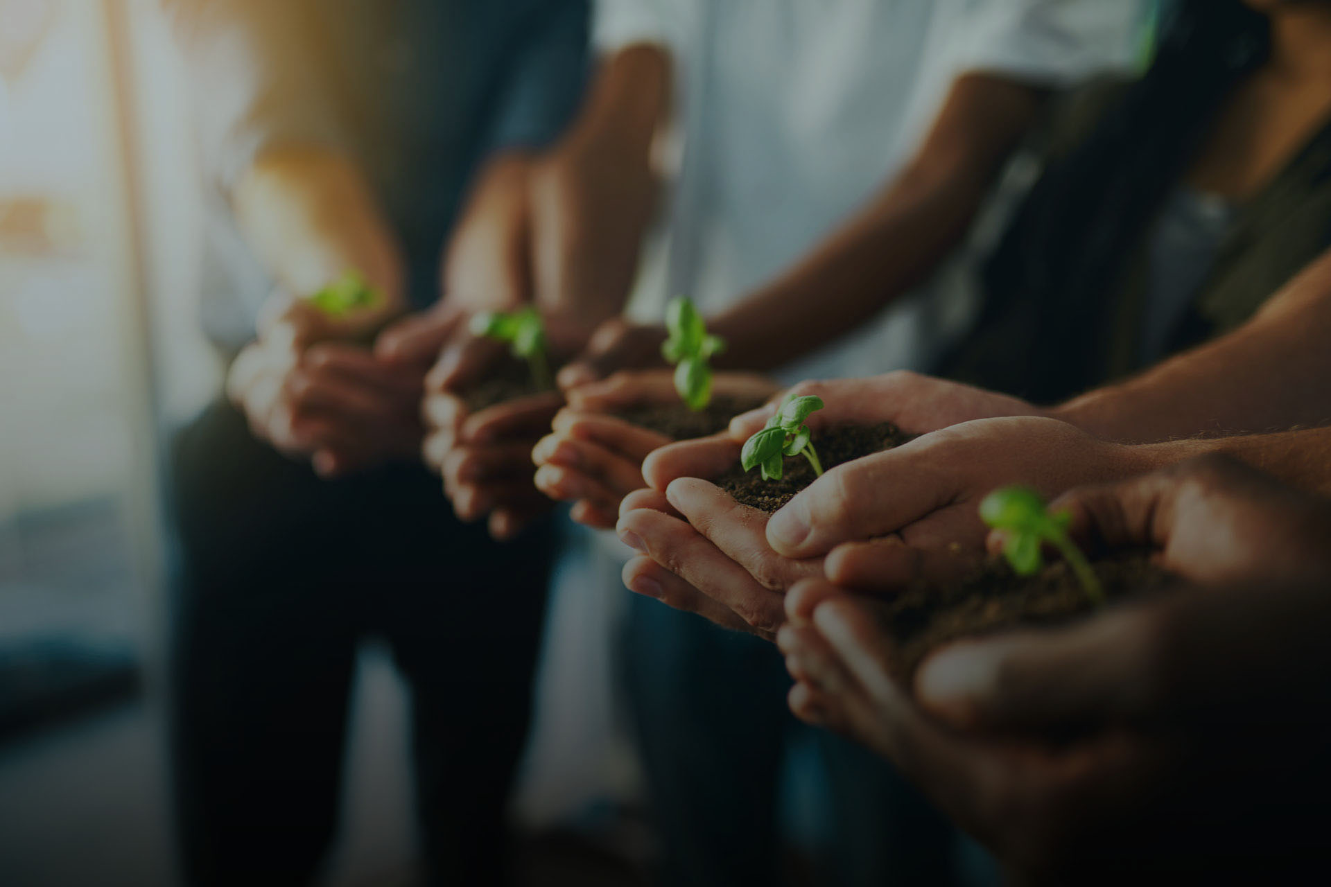 Proyectos de medio ambiente — SCAIN
